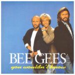 Bee Gees – You Wouldn't Know (1992)