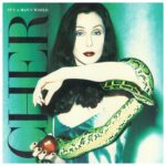 Cher – It's A Man's World (1995)