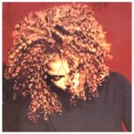 Janet – The Velvet Rope (1997)